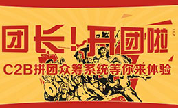 C2B拼团微众筹系统